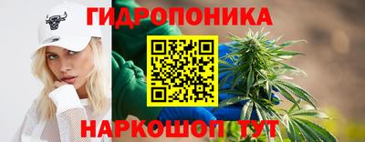 стаф Нальчик