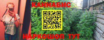 стаф Нальчик