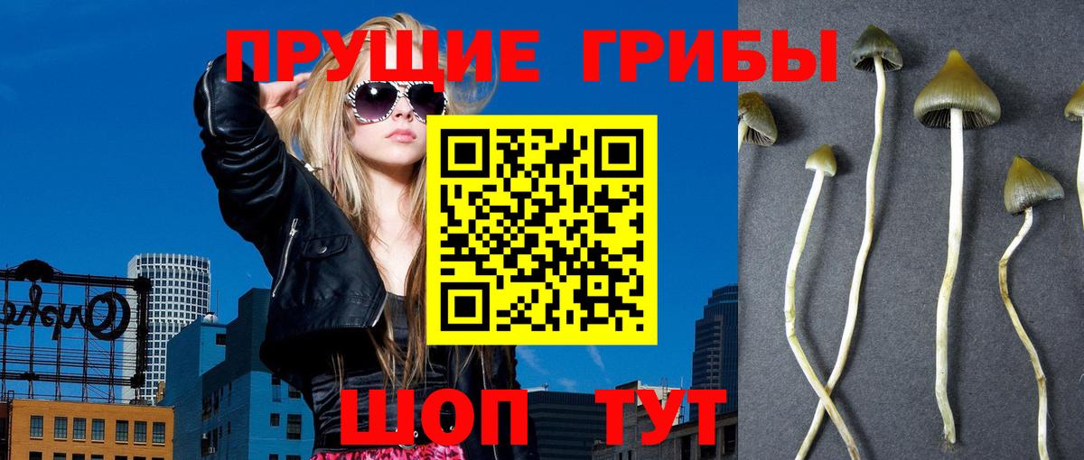 Галлюциногенные грибы MAGIC MUSHROOMS  Псилоцибиновые грибы мицелий  Вход с VPN  Учалы 