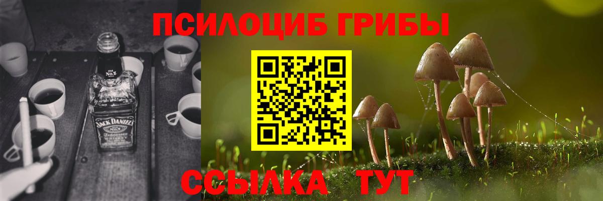 Псилоцибиновые грибы GOLDEN TEACHER Учалы